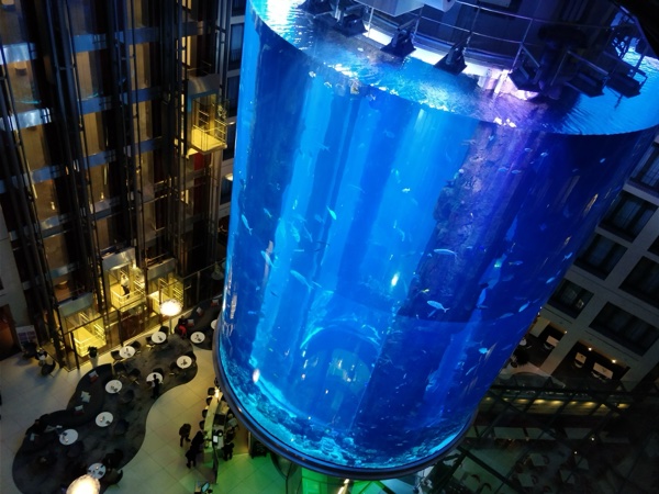 Berlin Radisson Fish Tank